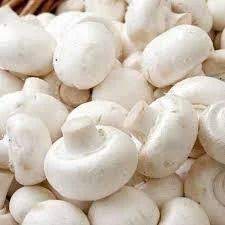 Mashroom