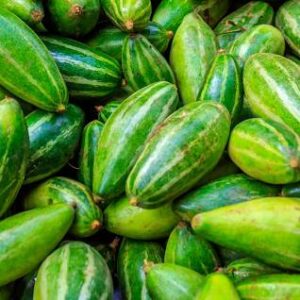 Pointed gourd