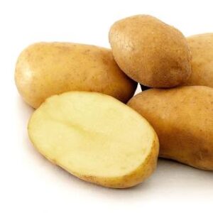 Potato