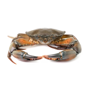 Crabs