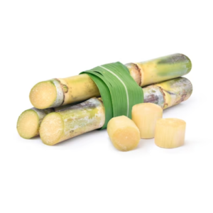 Sugarcane