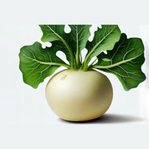 Turnip